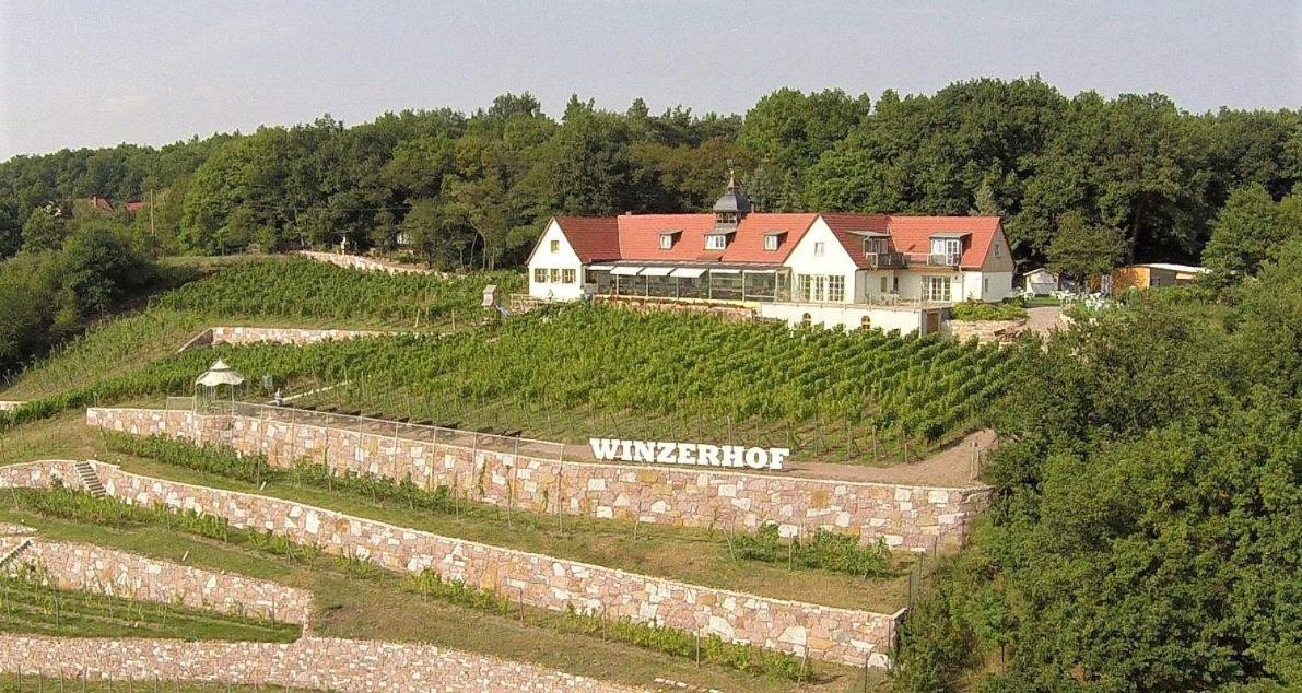 Pension Bella Vista - Winzerhof Golk Meissen Exterior photo